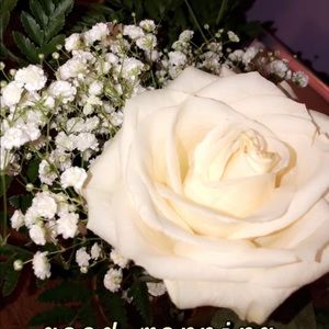 Meet your Posher, Becky